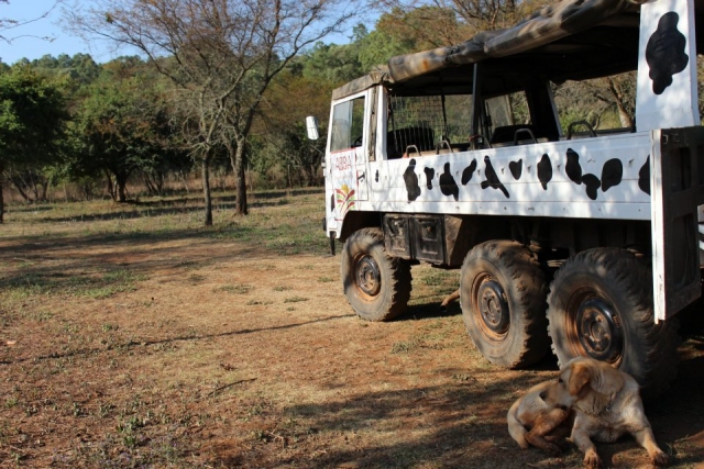 Paseos y excursiones